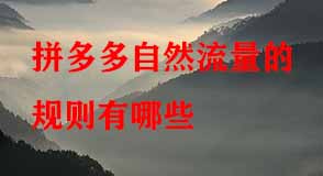 拼多多自然流量的規(guī)則有哪些